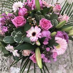 Pink Explosion
