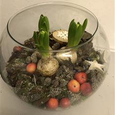 Xmas Hyacinth Bowl large 