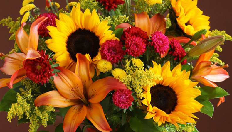 Flowers by Paula
